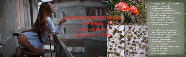 mdpv Горняк