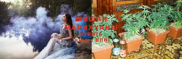 скорость Гусев