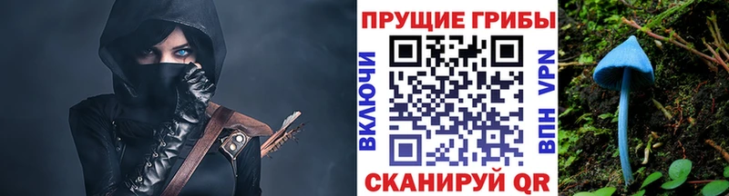 Галлюциногенные грибы прущие грибы  Купить закладки  Камышлов 